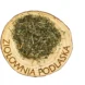 Przytulia czepna