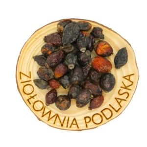 Dzika róża owoc – zioła na odporność i witaminę C