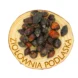 Róża owoc