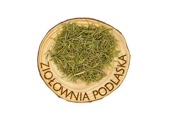 Rozmaryn