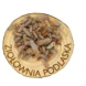 Sosna pączki