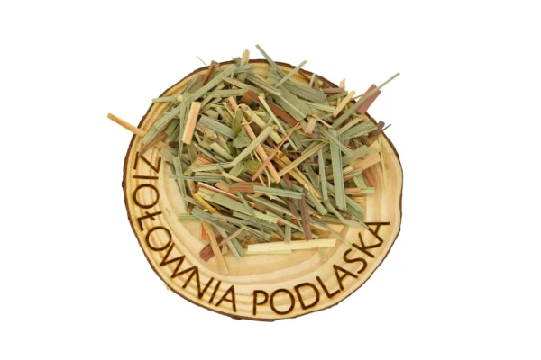 Trawa cytrynowa