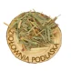 Trawa cytrynowa