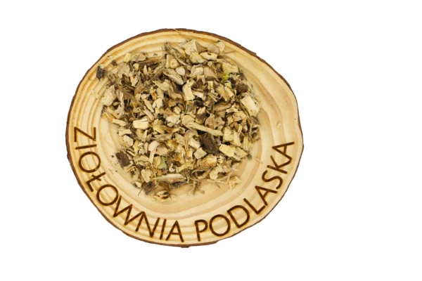 Wilżyna korzeń