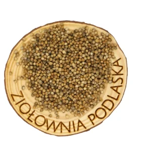 Kolendra owoc – trawienie, detoks, odporność