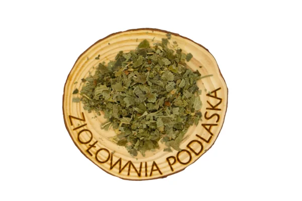 porzeczka liść