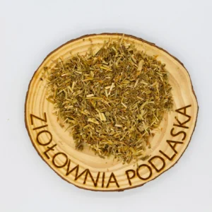 Tysiącznik ziele – trawienie, tonik, regeneracja skóry