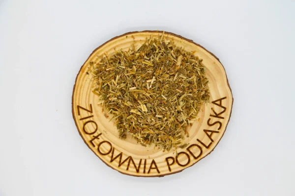 tysięcznik ziele
