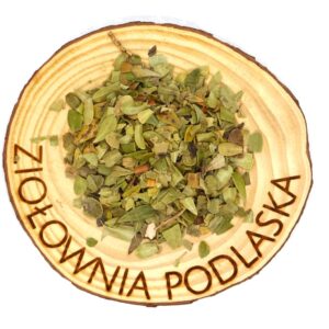 Mącznica lekarska liść