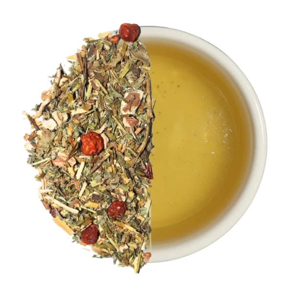 naprawa po antybiotyku