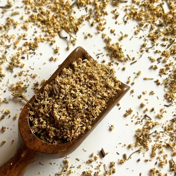 czarny bez kwiat czarny bez kwiat